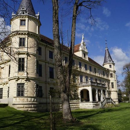 Schloss Puchberg Wels Bagian luar foto
